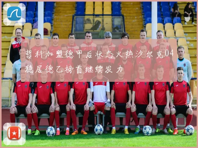 哲科加盟德甲后状态火热沙尔克04稳居德乙榜首继续发力